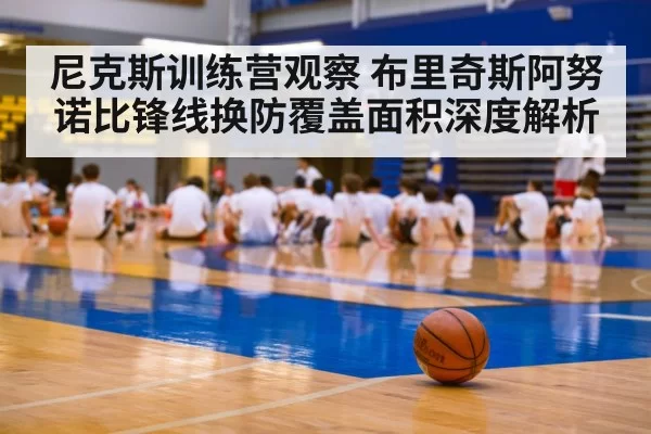 尼克斯训练营观察 布里奇斯阿努诺比锋线换防覆盖面积深度解析
